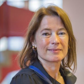 Prof. dr. P.M. Bluyssen